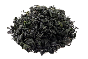 Seaweed