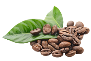 Caffeine